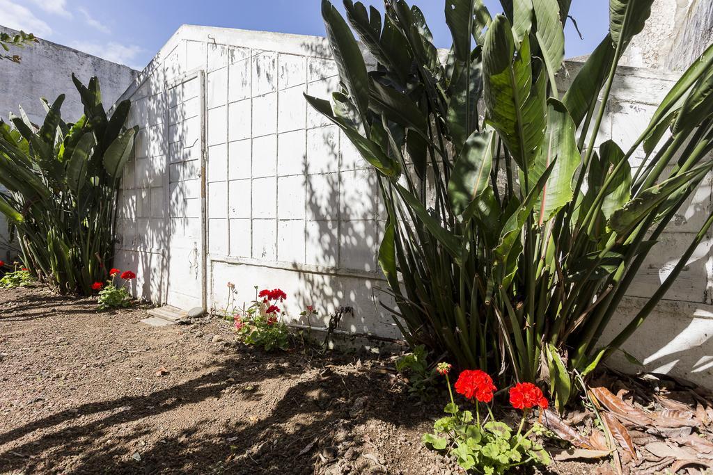 Family House Garden Villa Ponta Delgada Rum bild